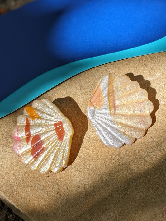 Patterned Seashell Studs
